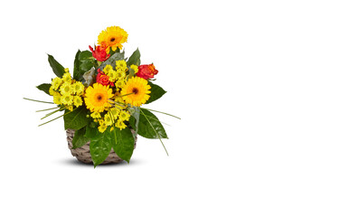 Naklejka premium yellow gerbera flowers beautiful in pots isolated​ on white​ background​ with clipping path​