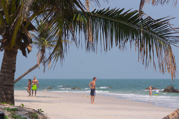Coconut trees and nature on Hua Hin Beach, Thailand - January 31,2021;