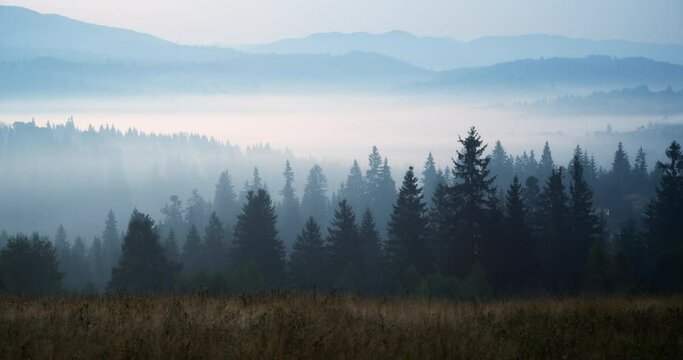 Beautiful landscape. Carpathian mountains before dawn