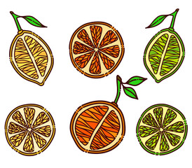 Collection of fresh citrus fruits: lemon, orange, lime. Hand drawn illustration for cafe, restaurant, menu, cards, prints, stickers,