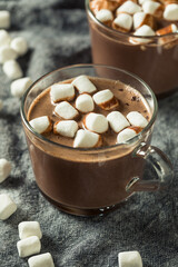 Fototapeta na wymiar Homemade Warm Hot Chocolate