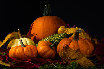 Halloween pumpkin and gourds