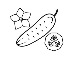simple linear drawing vector graphics abstract logo icon cucumber cucumber slice with flower isolated black on white background