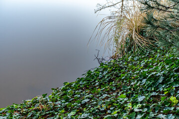 late fall foliage and pond with sky reflections