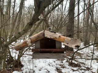 Feeder for winter feeding of birds. Birdhouse on a tree for squirrels and animals. Homemade bird house in the forest.