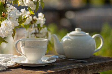 Obraz na płótnie Canvas Elegant cup, tea pot, cherry blossom branches, wooden table. Outdoor breakfast, picnic, brunch, spring mood. Soft focus