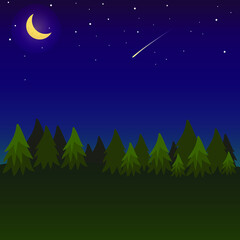 Obraz na płótnie Canvas Night forest