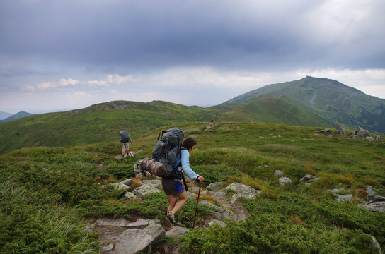 รูปภาพBushwalking – เลือกดูภาพถ่ายสต็อก เวกเตอร์ และวิดีโอ2,846 | Adobe ...