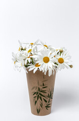 Fresh daisy flowers on colorful backgrounds