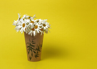 Fresh daisy flowers on colorful backgrounds