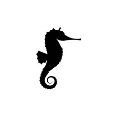 Sea horse illustration logo vector