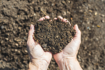 Fresh compost soil in two hands with a blurred background.