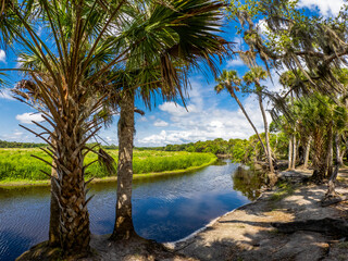 Fototapeta na wymiar Myakka River at Fishermans Loop in Myakka River State Park in Sarasota Florida USA