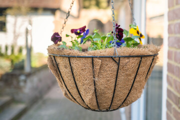 Newly planted handing basket. Soft focus