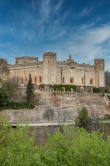 Obraz premium Panorámica del Castillo de Malpica de Tajo 
