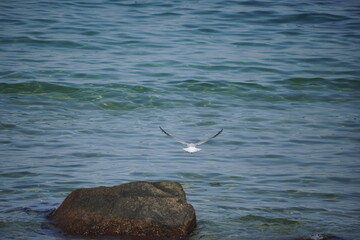 An der Ostsee: Kühlungsborn