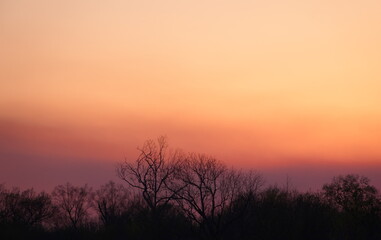 Fototapeta premium pink dusk