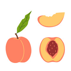 Fresh juicy peaches. Whole, halves, parts of the fruit. Set of vector illustrations in flat style isolated on white background