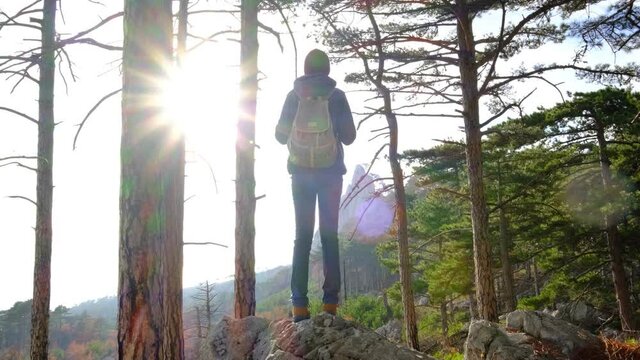 Outdoor adventure travel. Woman exploring forest in mountains.