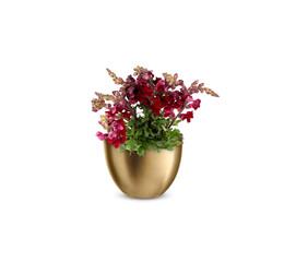flowers in a vase isolated​ on white​ background​ with​ clipping​ path​