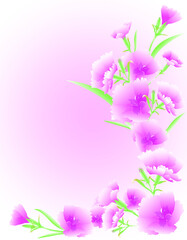 pale pink carnations with leaves and buds isolated on watercolor pink background