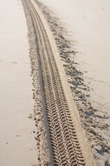 Tracks On Sand