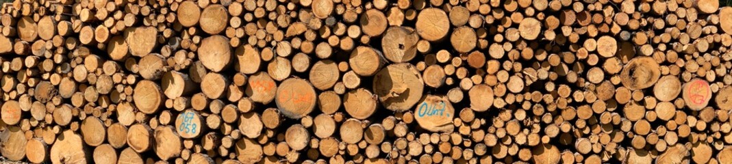 Panorama of a stack of wood
