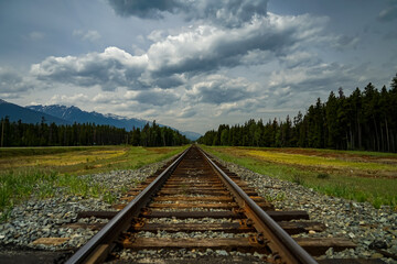 Fototapeta premium Straight ahead