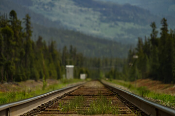 Fototapeta premium Railway