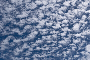 texture of small white clouds in the blue sky