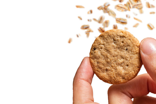 Pessoa segurando um biscoito integral com flocos de aveia caindo e fundo branco. Vetor com espaço para texto.