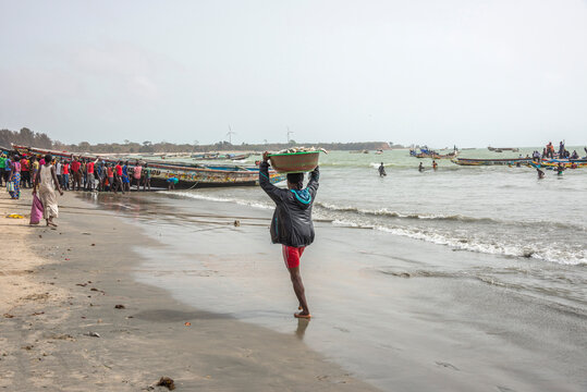 Escena con descarga de pescado en las playas de Sanyang en Gambia