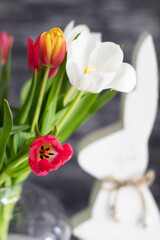 Close up of colorful tulips and white easter bunny in the back