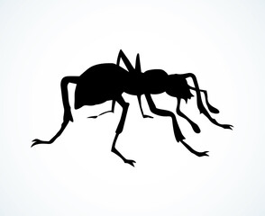 Ant. Vector drawing