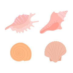 Set of seashells on white background. Collection of seashells in pink shades. 