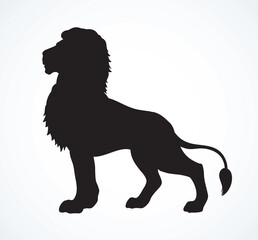 Lion. Vector drawing