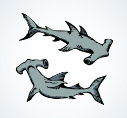 Fototapeta premium Seaweed. Vector drawing