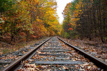 railway in autumn