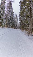 Obraz premium road in snow