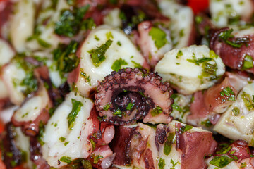 octopus cut into pieces with tomatoes and cucumbers, Octopus Salad