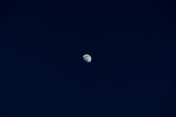 Mond