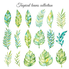Watercolor tropical leaves collection