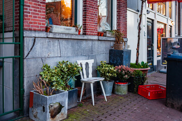 Fototapeta na wymiar plants in the pots in Amsterdam