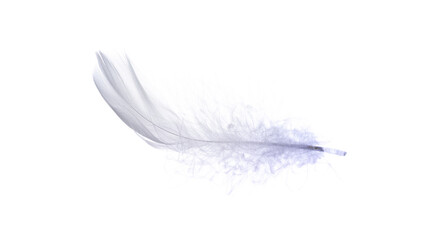 Feather air. Multicoloured pastel angel feather closeup texture isolated on white background in macro photography, soft focus. Concept of sensitivity responsiveness to nature.