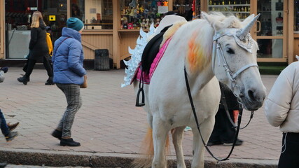 A beautiful white horse with a bright veil and a decorative unicorn horn on its head on one of the city's pedestrian streets attracts tourists.