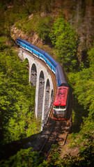 Fototapeta premium Train on Zampach viaduct, Czech Republic