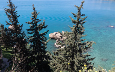 Top view of amazing blue sea water through green trees.