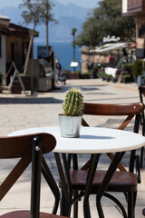 Street photography of old European street. Decorative Cactus in the pot on empty table in outdoor Mediterranean cafe. Summer and sunny day concept. Readiness for tourists.