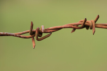 barbed wire on a fence