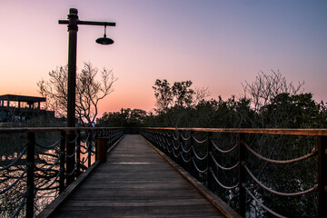 Mangroves